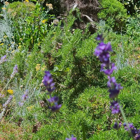 Sunset 2 - Zaklina 2 *