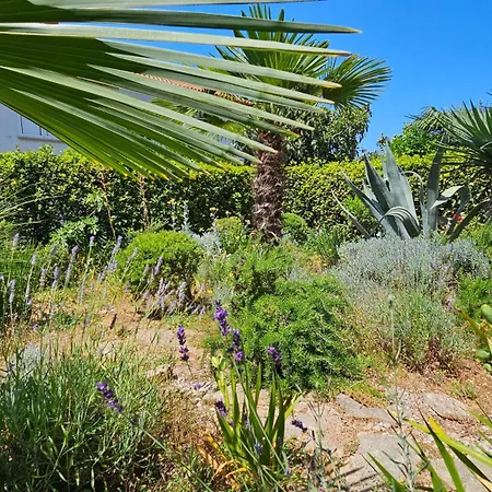 Sunset 2 - Zaklina 2 Appartement