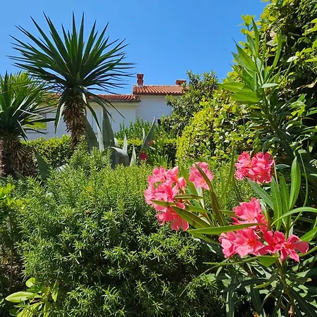 Sunset 2 - Zaklina 2